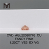 1.20CT FANCY PINK VS2 EX VG CU Розовые бриллианты лабораторной работы AGL22080776 