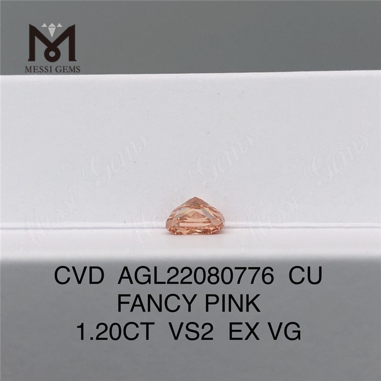 1.20CT FANCY PINK VS2 EX VG CU Розовые бриллианты лабораторной работы AGL22080776 